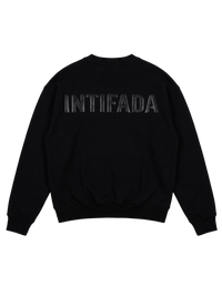 INT V01